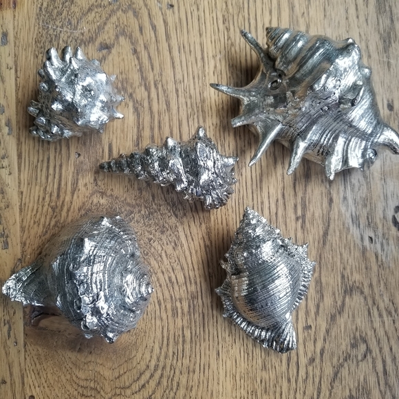 Silver Shell Decor - Picture 2 of 4